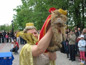 12-13.05.2012  Витебск выставка кошек (10)